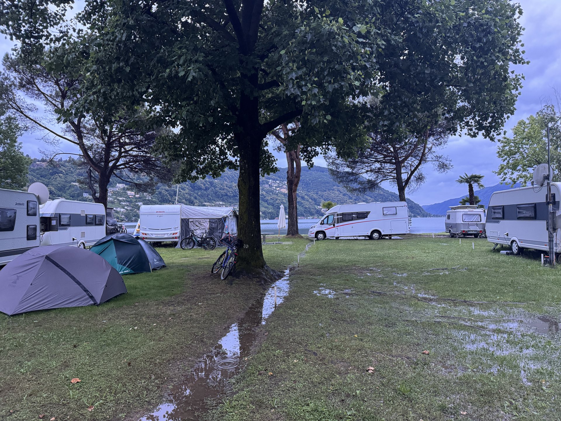 Regen