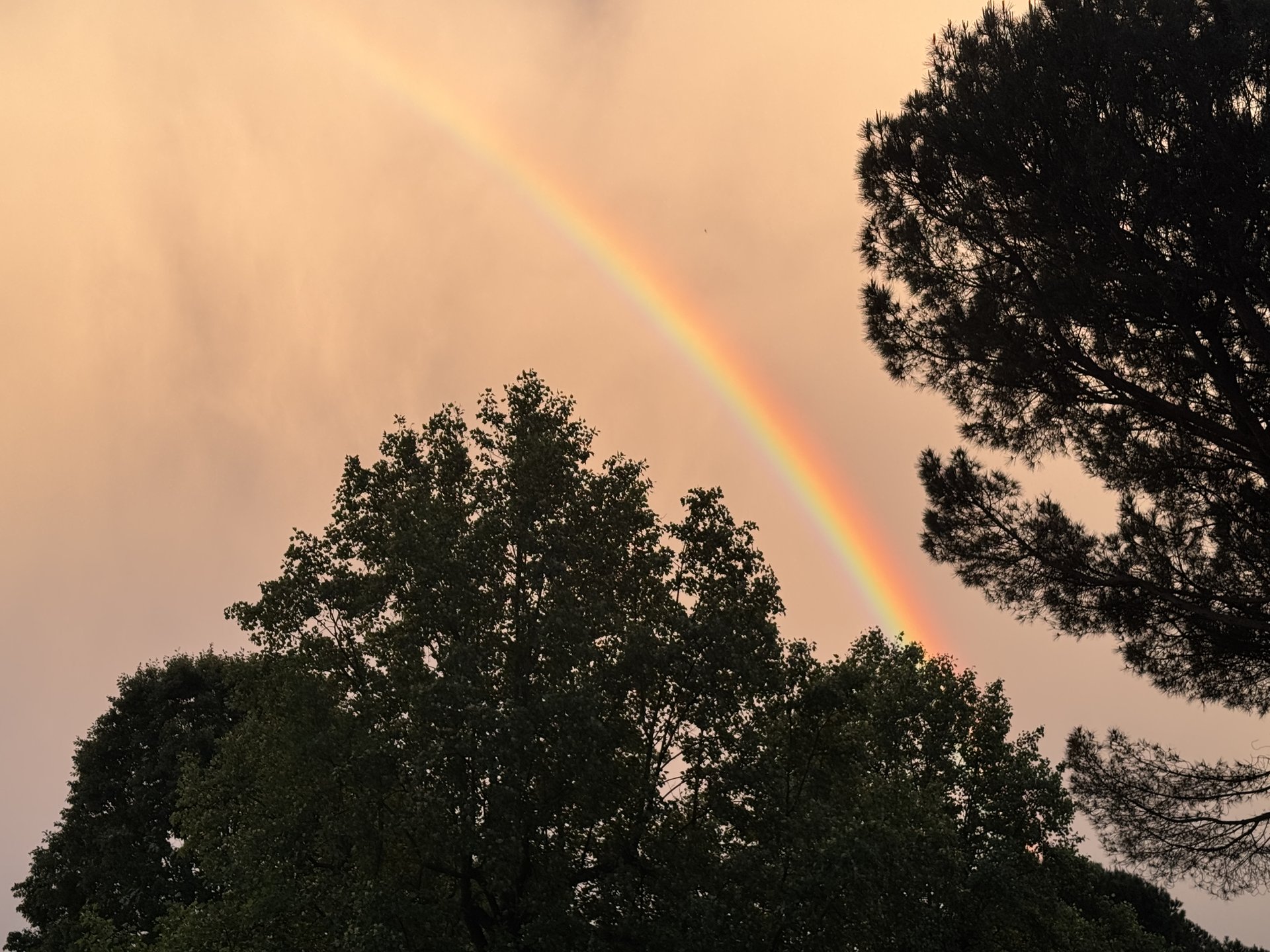 Regenbogen über La Palma