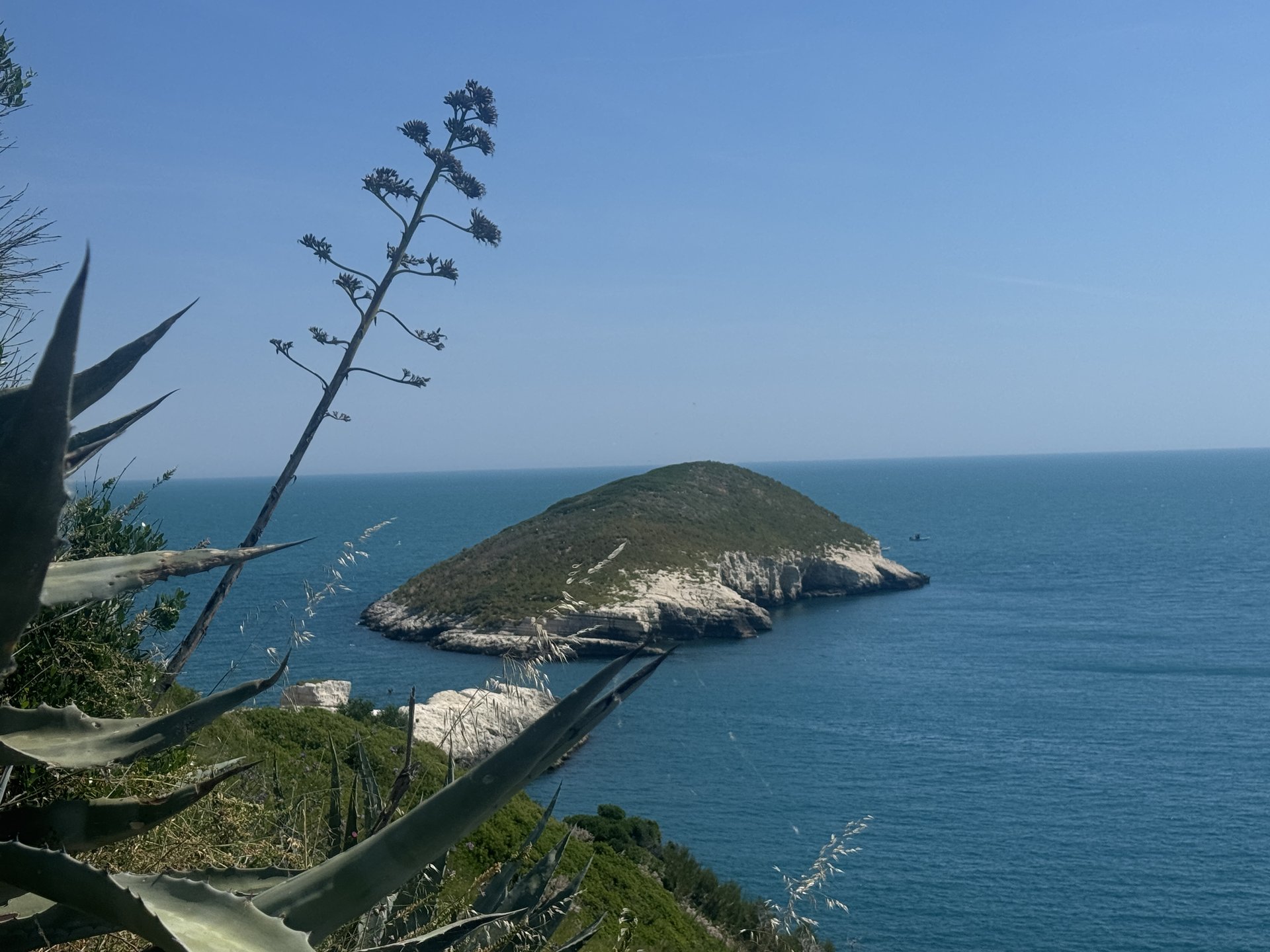 Isola del Portoghese
